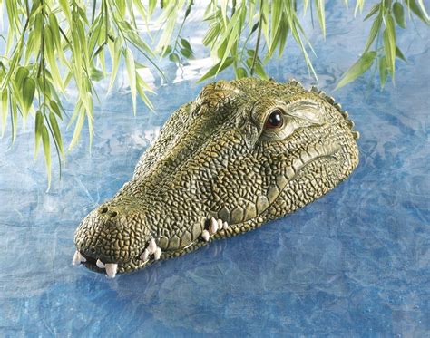 life size alligator decoy